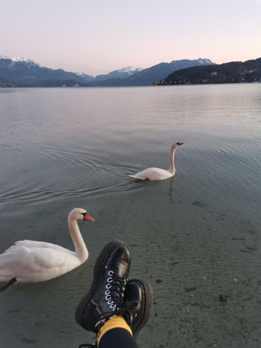 Apartamento Cocon A La Campagne,Proche Annecy Alby-sur-Cheran Exterior foto