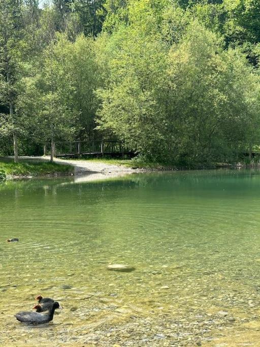 Apartamento Cocon A La Campagne,Proche Annecy Alby-sur-Cheran Exterior foto